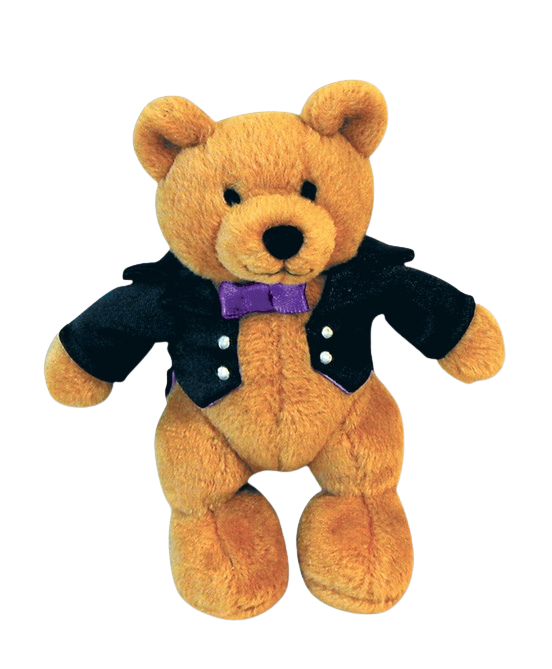Beethoven Bear plush teaching friend for early childhood music classes.